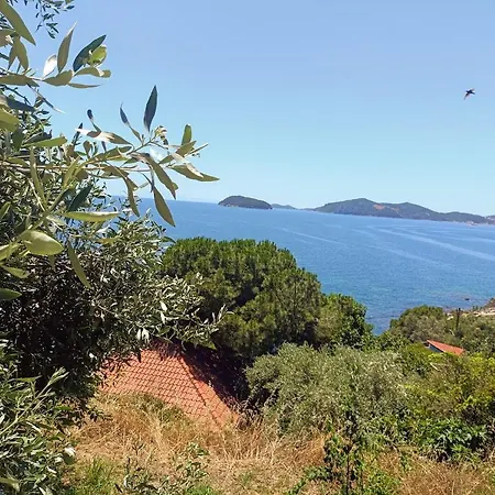 La Sirena I * Palaiontsiflikion